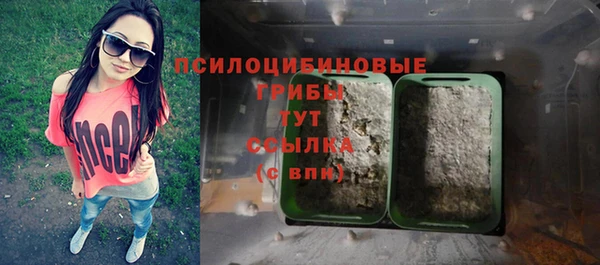 таблы Сосновка