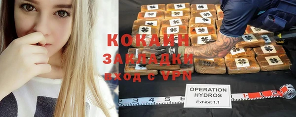 таблы Сосновка