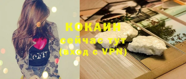 дмт Сосновоборск
