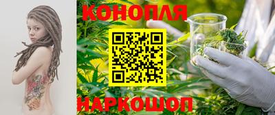 хмурый Жуковский