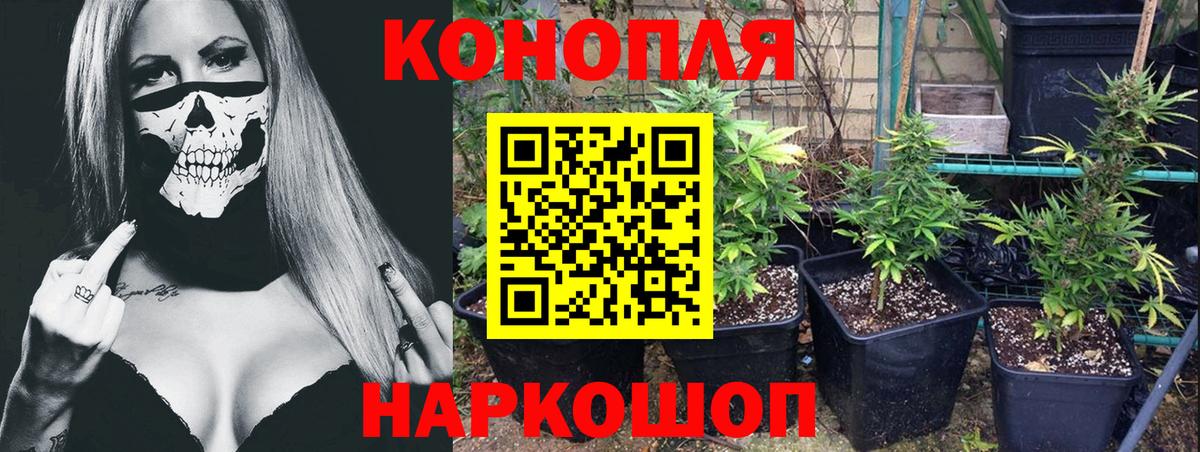 Марихуана Amnesia  Бошки марихуана THC 21%  Среднеуральск  Вход с VPN  МАРИХУАНА White Widow 